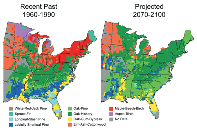 Projected Shifts in Forest Types Projected Shifts in Forest Types
